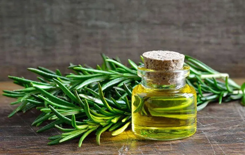 بهترین روغن مو رزماری ضدریزش و تقویت رشد مو