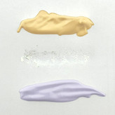 خرید اینترنتی ست آرایشی هایلایتر چند کاره کلور کت چهار تیکه